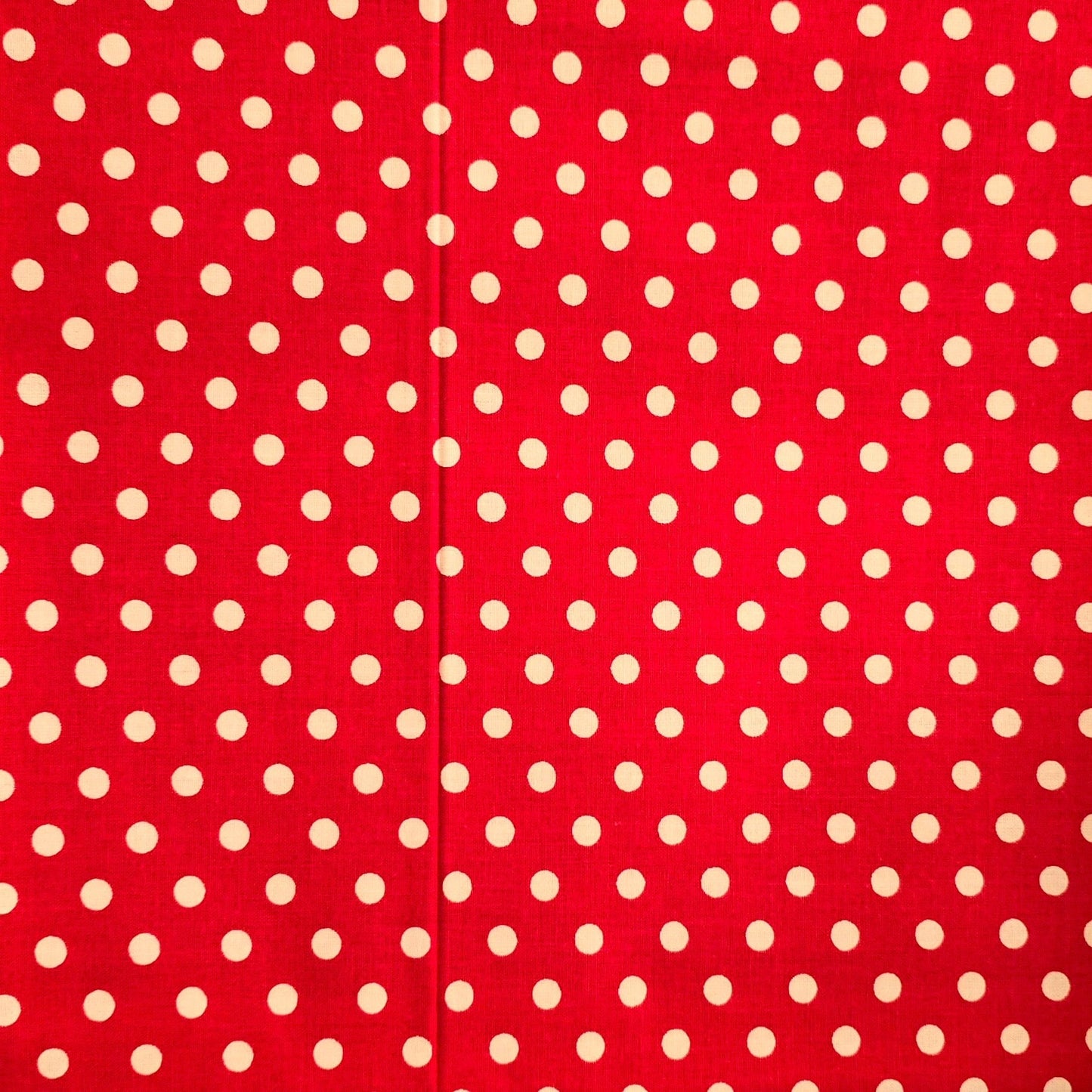 Polka Dot Fabric Basket: Reversible Cotton Canvas Bread Basket