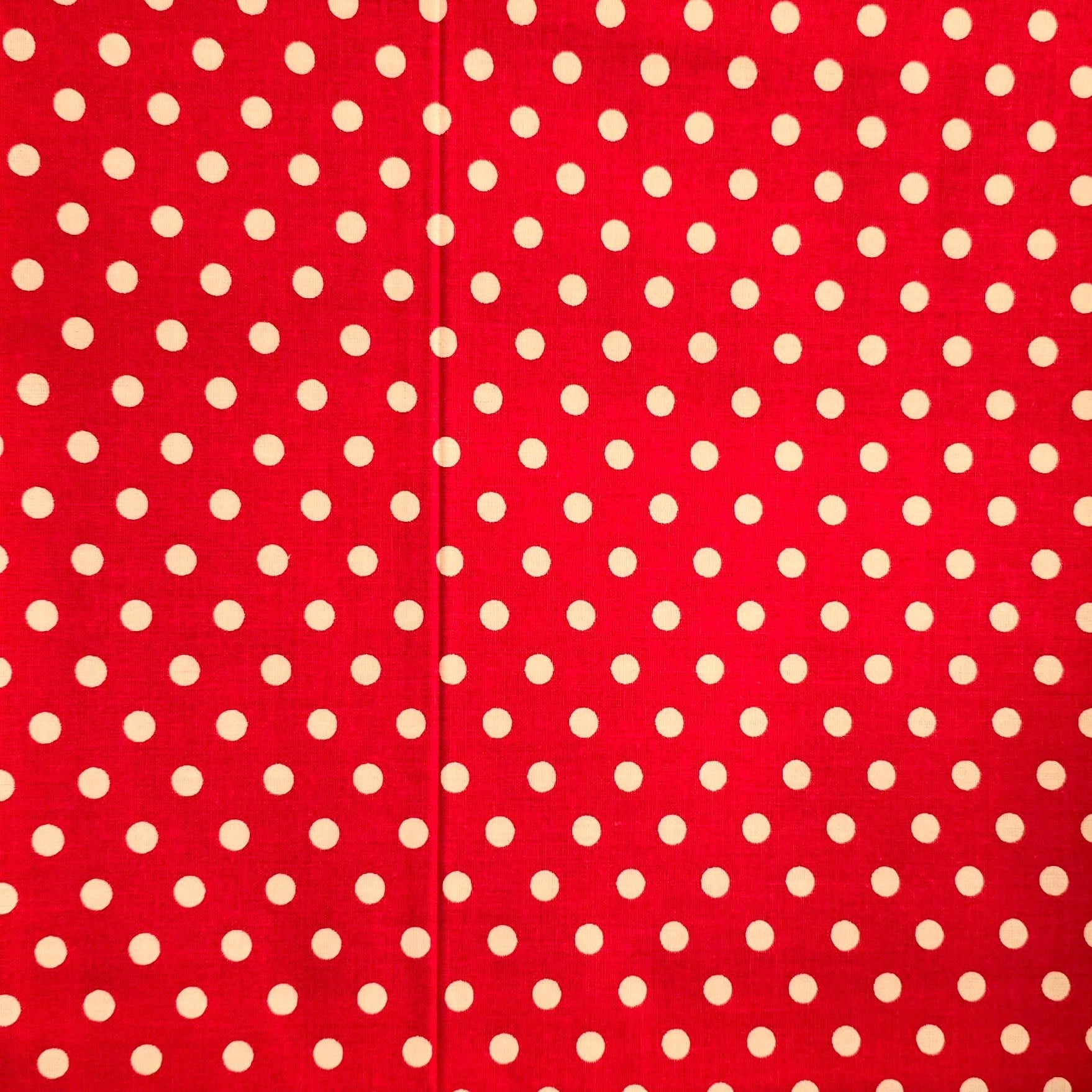 Polka Dot Fabric Basket: Reversible Cotton Canvas Bread Basket